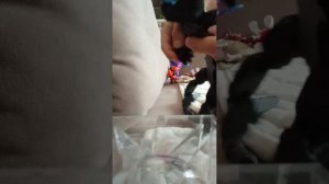 1000019411.mp4