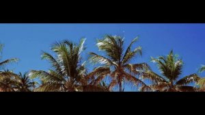Алла Пугачёва ft. Drake - Я так хочу, чтобы лето не кончалось. (Tik Tok Remix) rework: PROfan