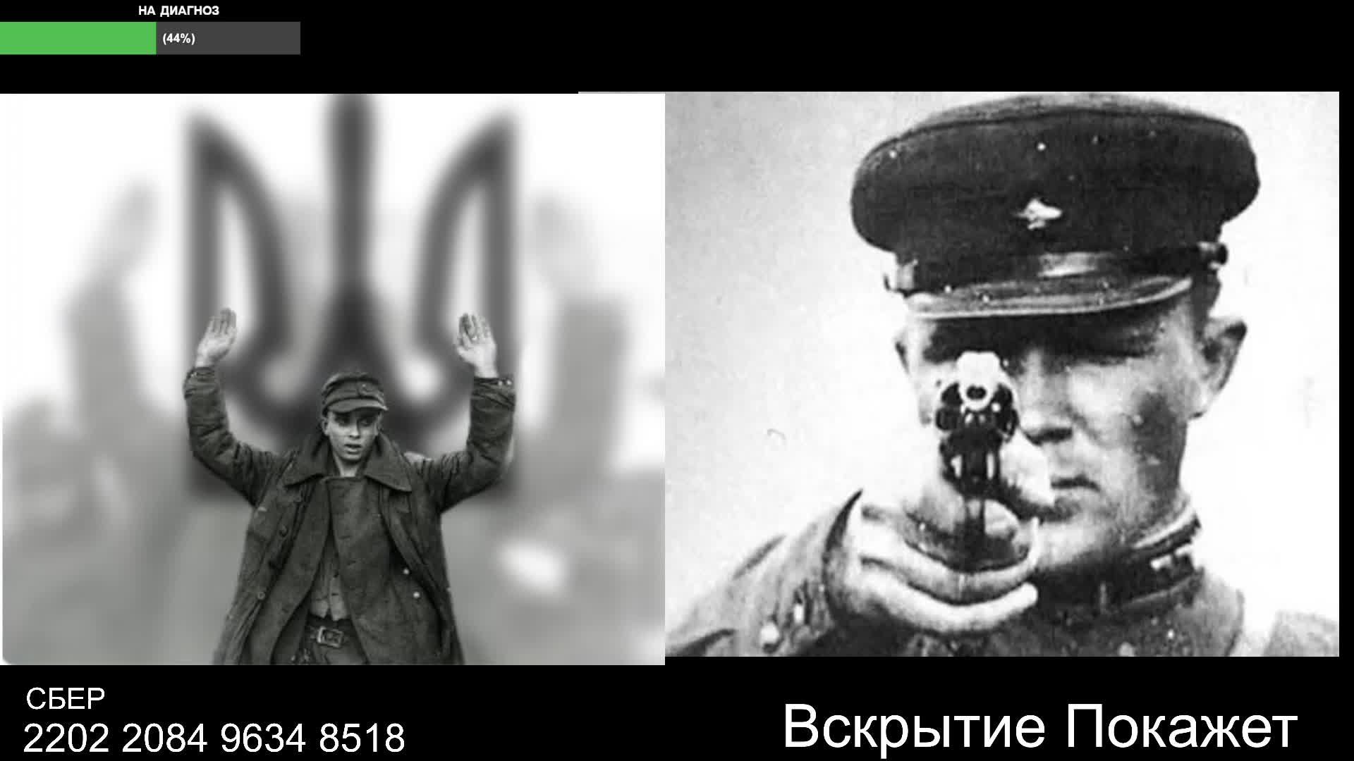 Стрим по сумеркам смотреть онлайн