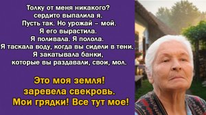 Истории из Жизни | ЭТО МОЯ ЗЕМЛЯ ! |  Аудиокниги слушать | Жизненные Истории