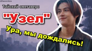 Тайский омегаверс «Узел» — первая серия меня обрадовала, ЭТО НЕ ПРОВАЛ!