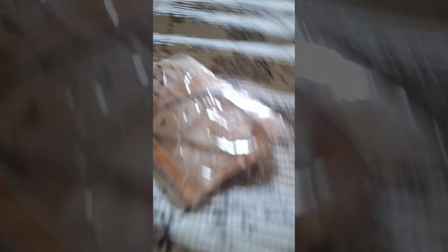 1017.mp4 смотреть онлайн