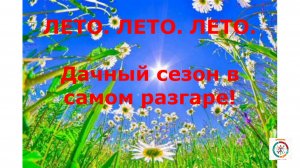 Лето, лето, лето. Дачный сезон в  самом разгаре.