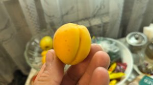 Как проходят мой день ,   Открыл пляжный сезон,   И рассказал как работаю ох