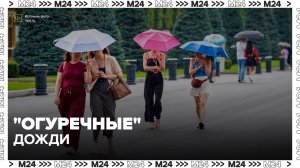 Москвичей ожидает неделя неустойчивой погоды - Москва 24