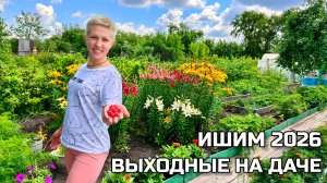 Лето в Ишиме ☀️ Жарим шашлык. Самовар, ягоды и домашний медовик. Идеальные выходные на даче #ишим