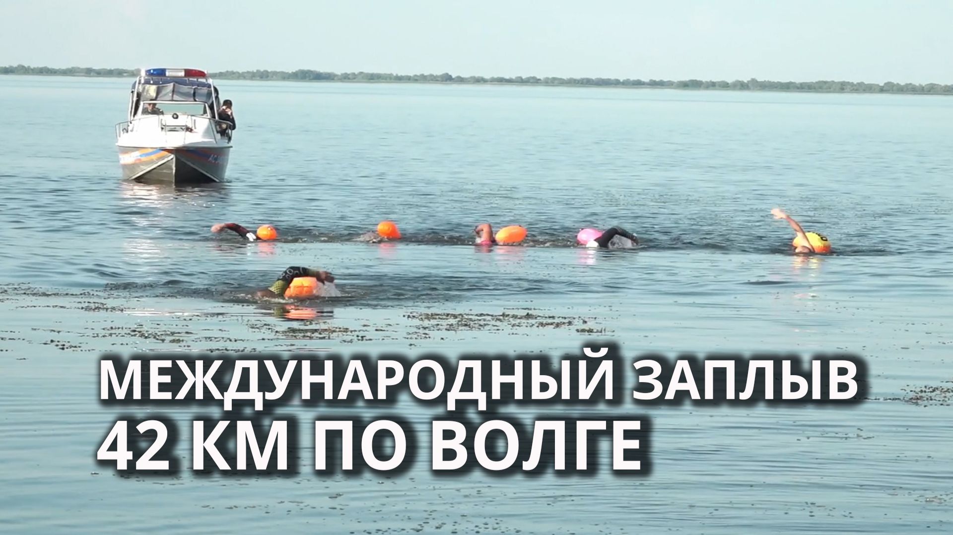 На Волге прошёл международный заплыв на 42 км