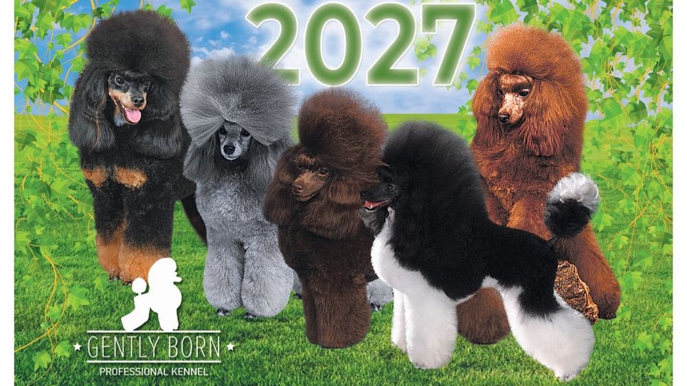 Традиционный календарь ДЖЕНТЛИ БОРН. 2027