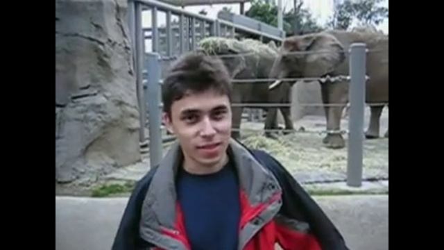 Рандомные видео из рекомендаций YouTube (1 часть)