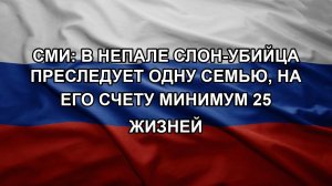 СМИ: в Непале слон-убийца преследует одну семью, на его счету минимум 25 жизней