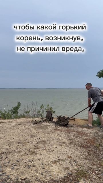 Горький корень😁