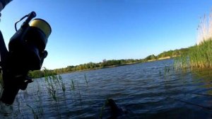 самая лучшая рыбалка с эхолотом👌хороший улов