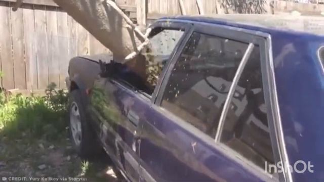Месть парковщикам из разряда „я художник, я так вижу"🫣Видео от WTFакт #авто #машина #парковка
