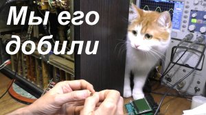 Олимп 003 оброс плюшками