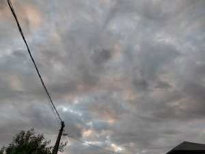 Ураааааа сходка