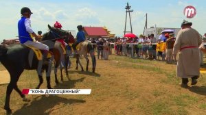Страшная авария/«Новости дня» 06.07.2026