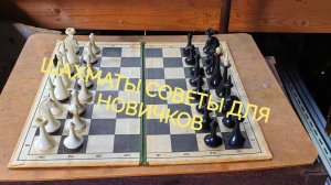 Шахматы с нуля: главные правила и советы, которые спасут твою первую партию!