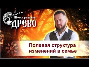 Полевая структура изменений в семье