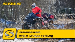 STELS GUEPARD 800 - квадроцикл для настоящих мужчин
