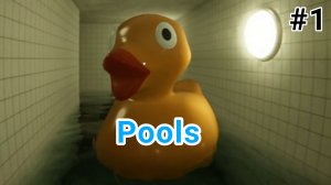 Везде басики, НО НЕ БАРСИКИ! (Pools) #1