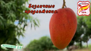 219. Безличные предложения - что это и как построить + упражнение с ответами.