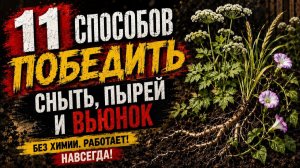 Сныть, пырей и вьюнок больше НЕ ВЫРАСТУТ! Умный метод борьбы с сорняками.