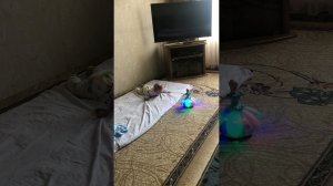 Эльза развлекает Айымку