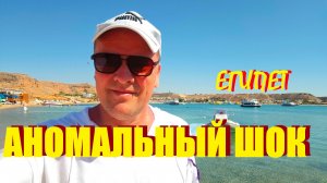 Доступные пляжи от отеля в Шарм-эль-Шейхе.В бухте отстой,в платном меня удивили.Так,бассейн и домой.