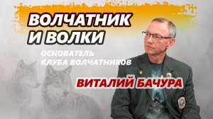 Волчатник и волки. Виталий Бачура
