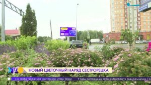 Новый фонтан появился в Сестрорецке