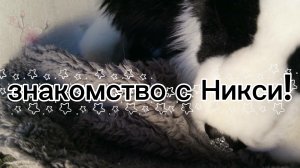 Знакомлю вас с моей плюшевой собакой!#Дуглас#ПДБ