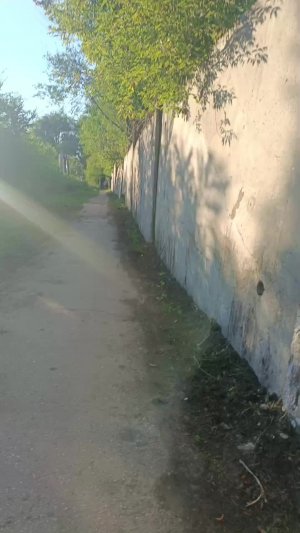 Домой