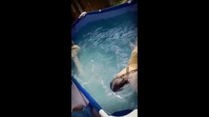 море мечты 💫 куличики счастья.(клип)