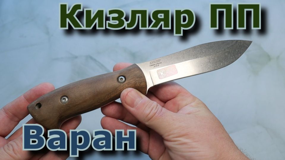 ПП Кизляр. Варан. Обзор.