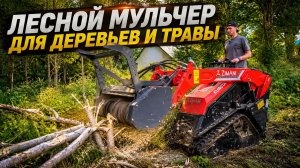 Машина для уничтожения бурьяна, кустов и деревьев! Мини-погрузчик ZimAni SCL1000
