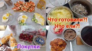 Покупки 🛒 Грибы в сметане 🍲 Чем кормлю свою семью 🍽️