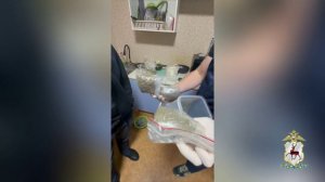 В Нижнем Новгороде задержаны находившиеся в федеральном розыске сожители-наркосбытчики