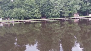 Утренний обзор с нижнего водоёма. Клёвое место, Лосиный остров.