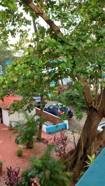 #ДоброеУтроСтрана 🇷🇺🇮🇳 Paradise village #Calangut