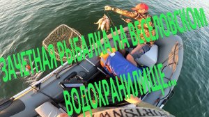 ЗАЧЕТНАЯ РЫБАЛКА НА ВЕСЕЛОВСКОМ ВОДОХРАНИЛИЩЕ…