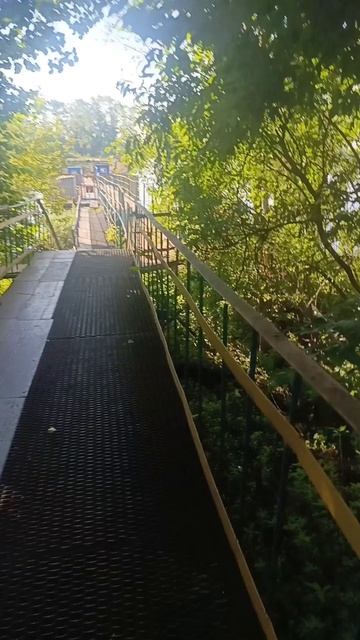 утро смотреть онлайн