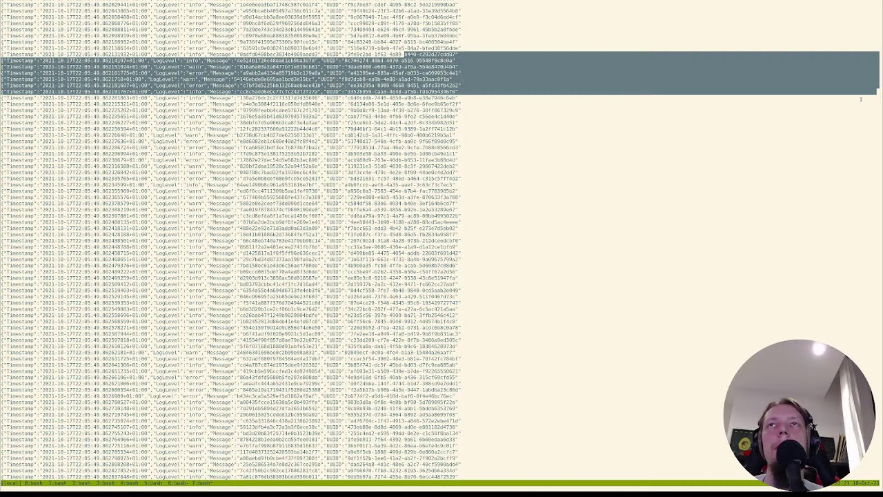 Пишем JSON log viewer #2 смотреть онлайн