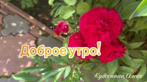 По прогнозу кругом дожди. Погода испортилась, едем домой.