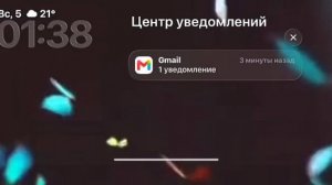 2026_07_05_02_37_43_IMG_7234