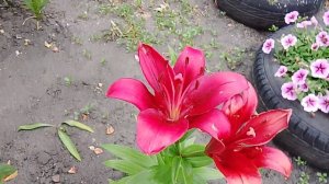 ❤🌹Немного красоты❤️🌹