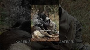 🔥 Кино без лишних слов ⏱️🎥🧠