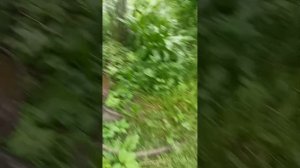 первая часть сиренаголовая в реальной жизни