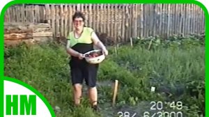 2000г. Хроника нашей семьи. Как молоды мы были.
