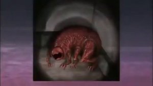 Vita Carnis - Living Meat Research Documentary 2 - Trimmings ПЕРЕВОД