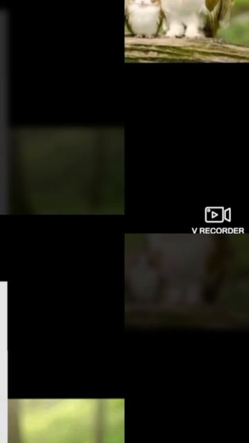 🔥meolw эдит🔥